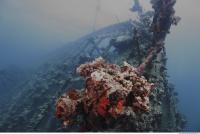 Photo Reference of Shipwreck Sudan Undersea 0007